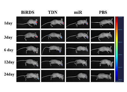Post-Treatment Monitoring of Uveal Melanoma Therapy