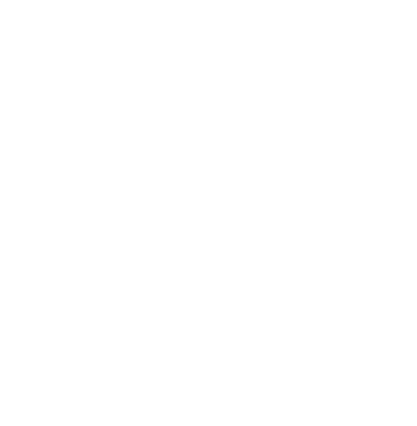 About Raycision