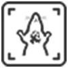 AI Organ Segmentation