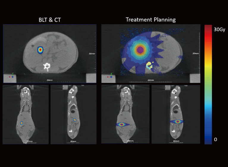 Multimodal Imaging-Guided Irradiation