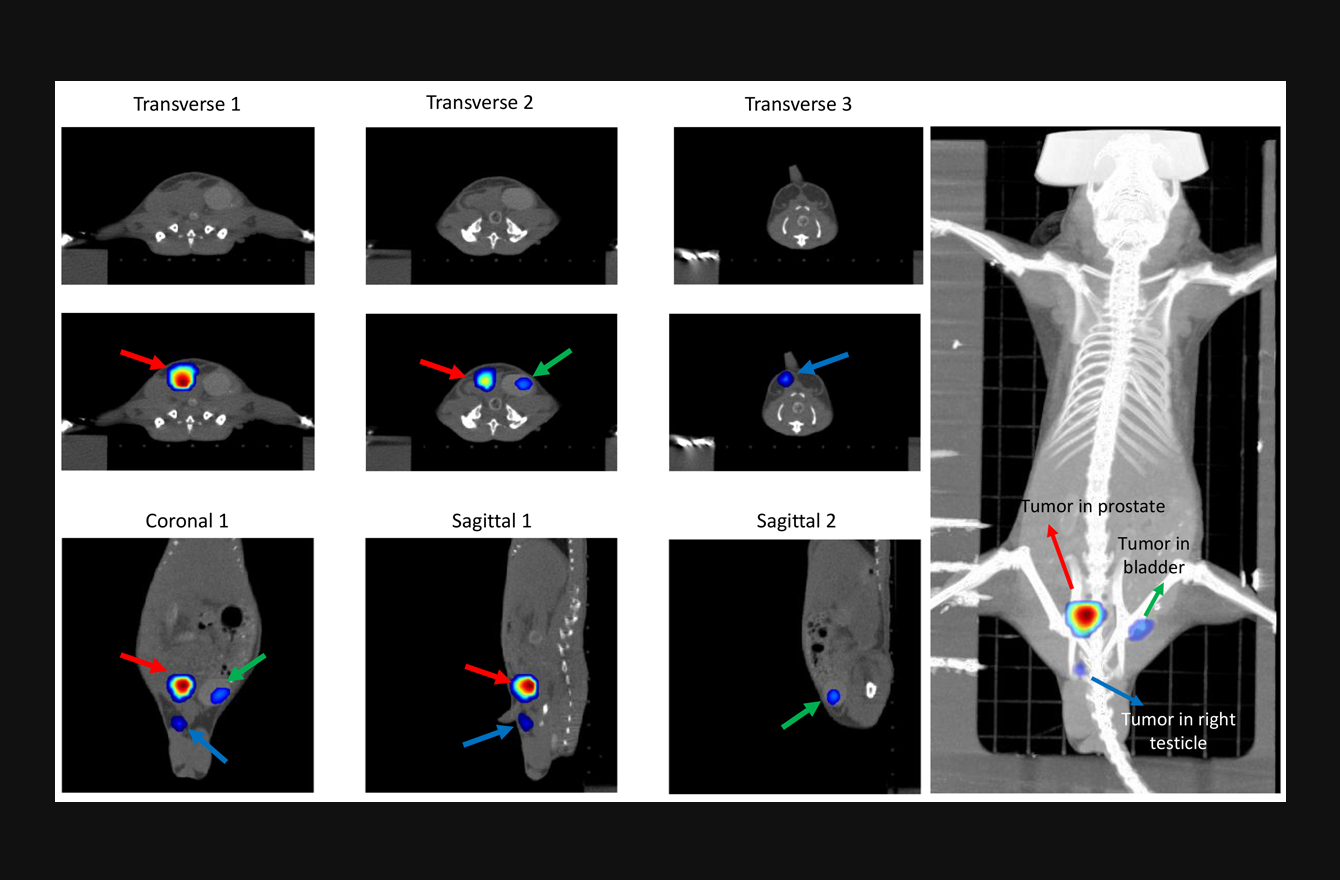 Oncology Research