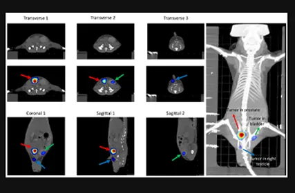 In Vivo Imaging Systems for Small Animal Research: A Guide to Preclinical Optical and Multimodality Imaging