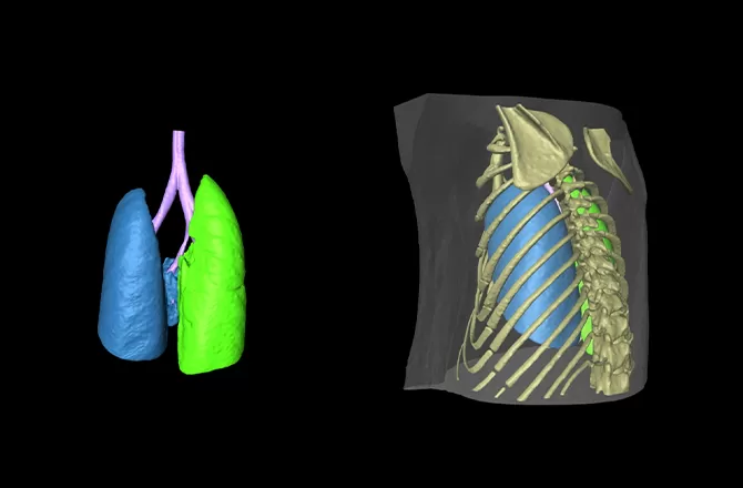 Life Sciences