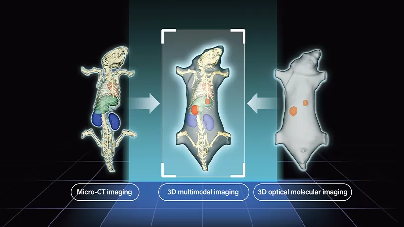 Multimodal Fusion Imaging: Micro-CT and Optical Integration