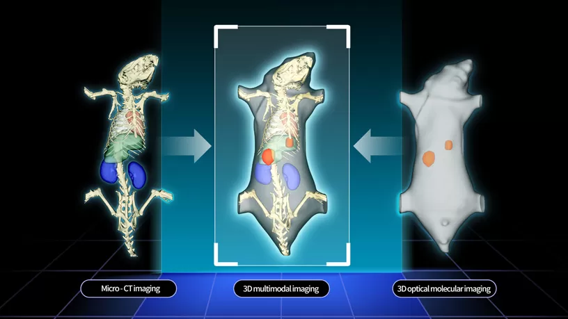 Multimodal Imaging
