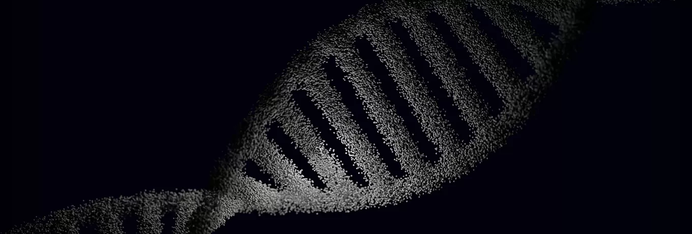 Advanced Preclinical X-Ray Irradiation Solutions