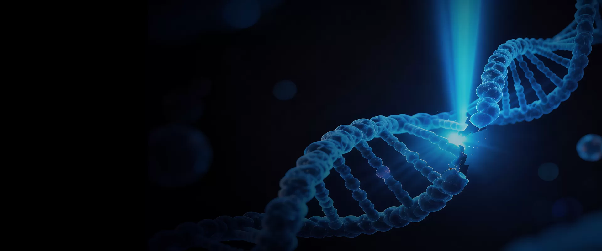 Advanced Preclinical X-Ray Irradiation Solutions