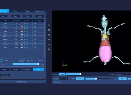 Automatic Segmentation of Whole-Body Organs in Mice
